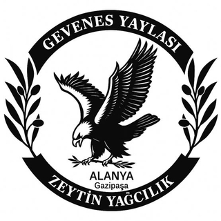 GEVENES YAYLASI ZEYTINCILIK