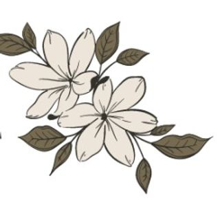 MİMOZA BİTKİ MARKET logo