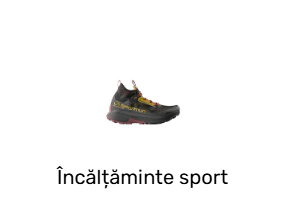 Încălțăminte sport