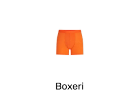 Boxeri