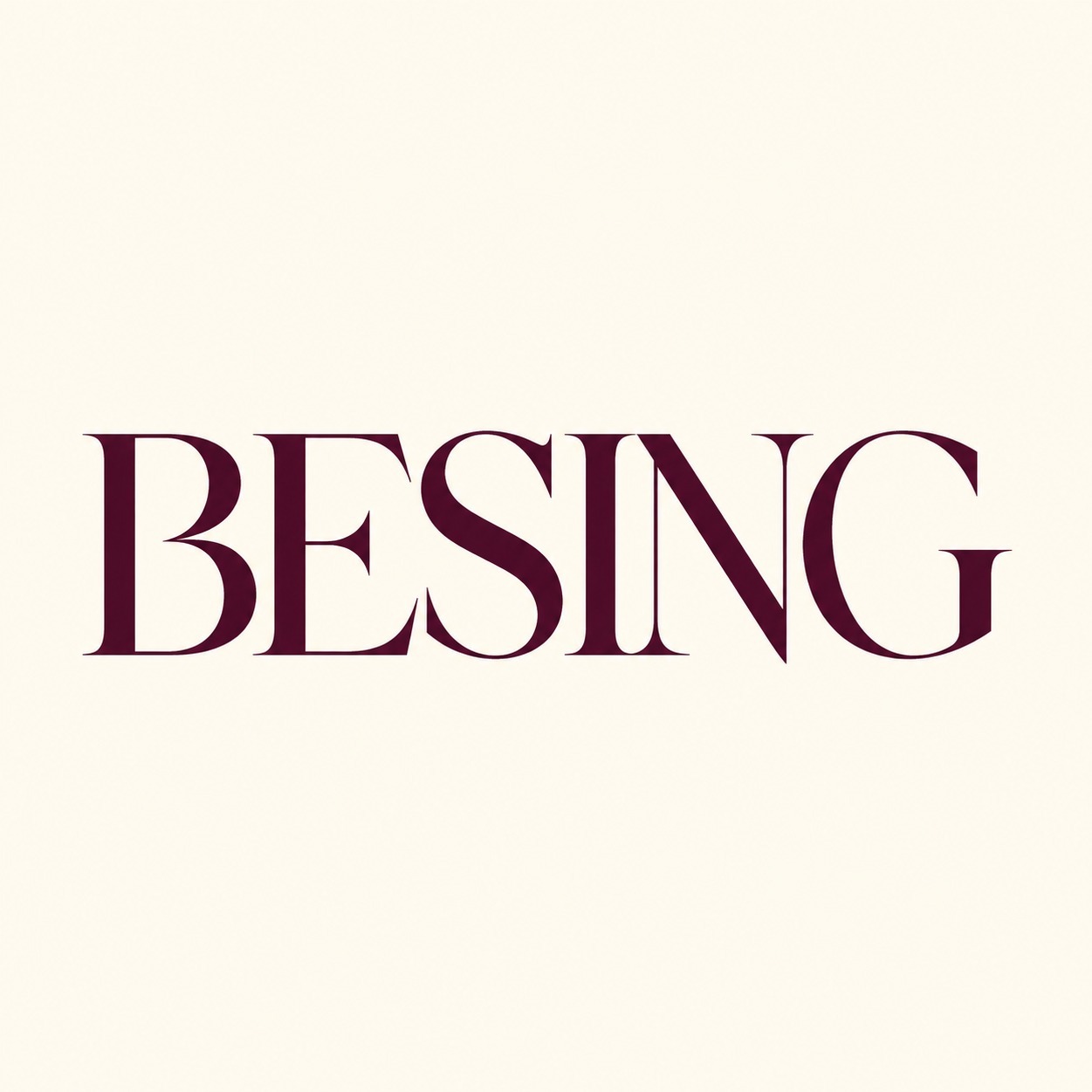 BESING logo