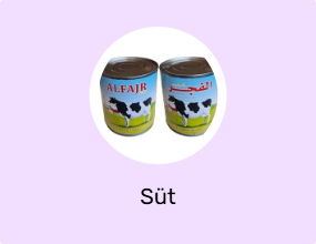 Süt