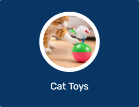 Cat Toys