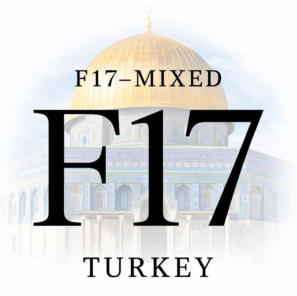 Filistin fit