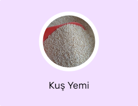 Kuş Yemi
