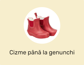 Cizme până la genunchi