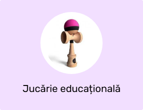 Jucărie educațională