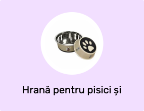 Hrană pentru pisici și recipiente pentru apă