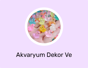 Akvaryum Dekor Ve Aksesuarı