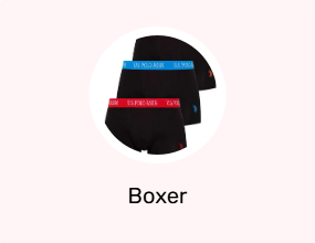 Boxer