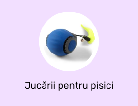 Jucării pentru pisici