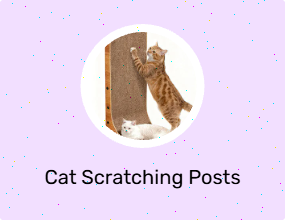 Cat Scratching Posts