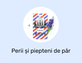 Perii și piepteni de păr