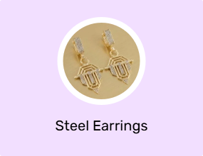 Steel Earrings
