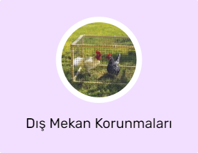 Dış Mekan Korunmaları