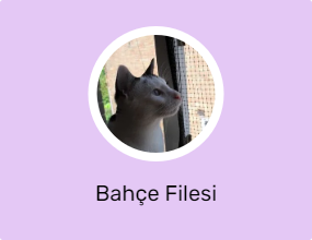 Bahçe Filesi