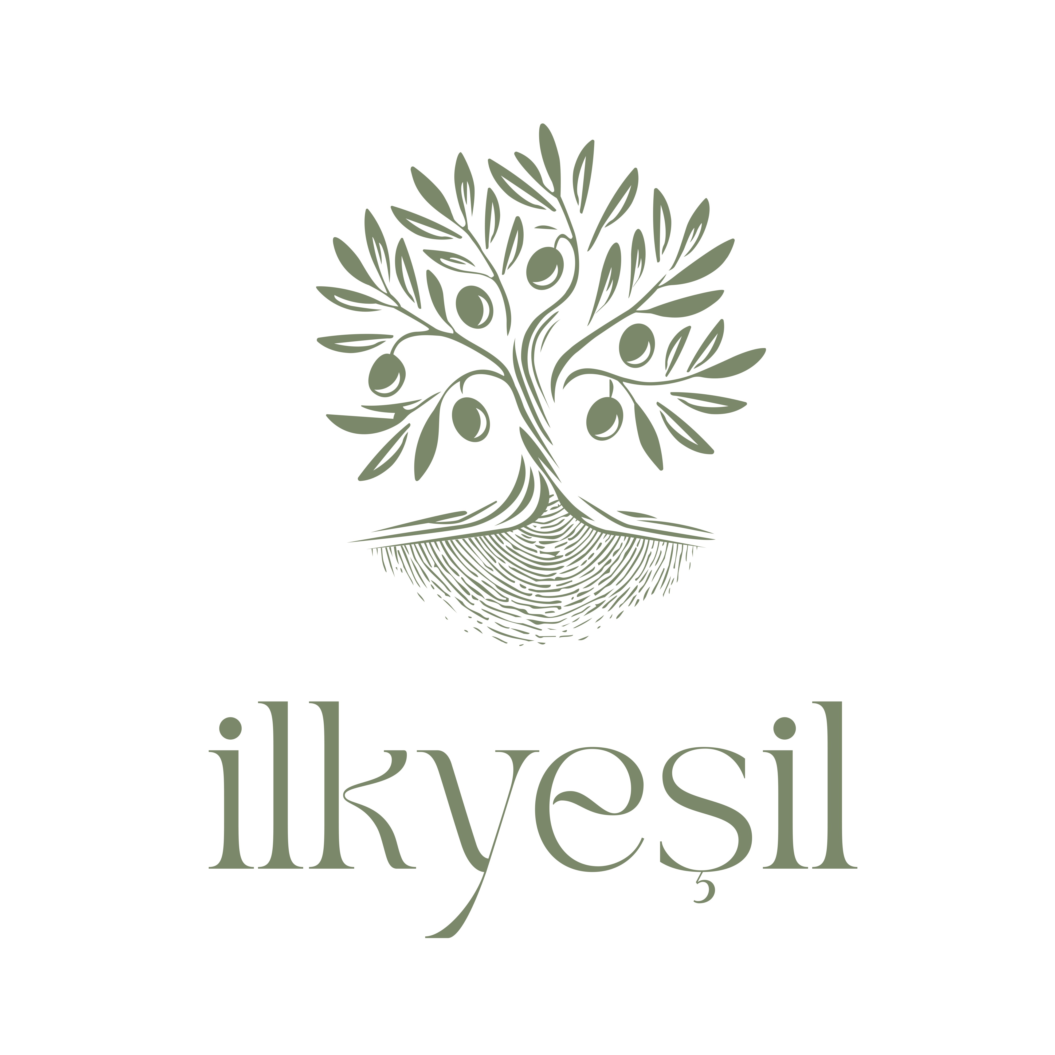 İlkyeşil zeytinyağı
