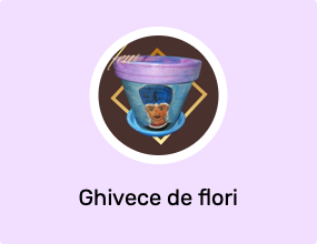 Ghivece de flori