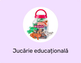 Jucărie educațională