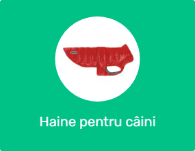 Haine pentru câini