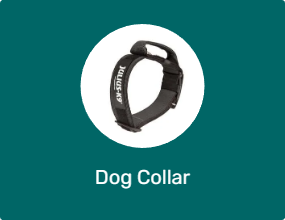Dog Collar