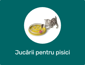 Jucării pentru pisici