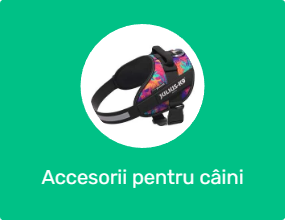 Accesorii pentru câini