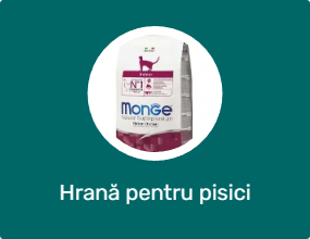 Hrană pentru pisici