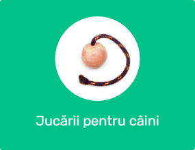 Jucării pentru câini