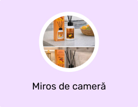 Miros de cameră