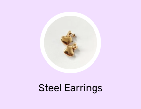 Steel Earrings