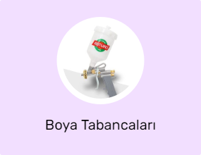 Boya Tabancaları