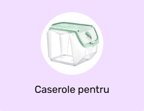 Caserole pentru mâncare