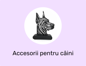 Accesorii pentru câini