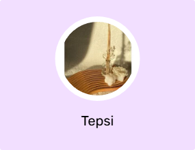 Tepsi
