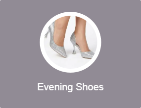 Evening Shoes