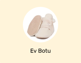 Ev Botu