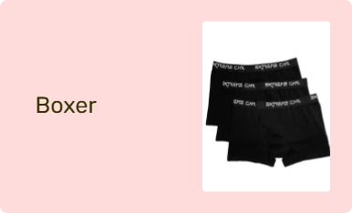 Boxer