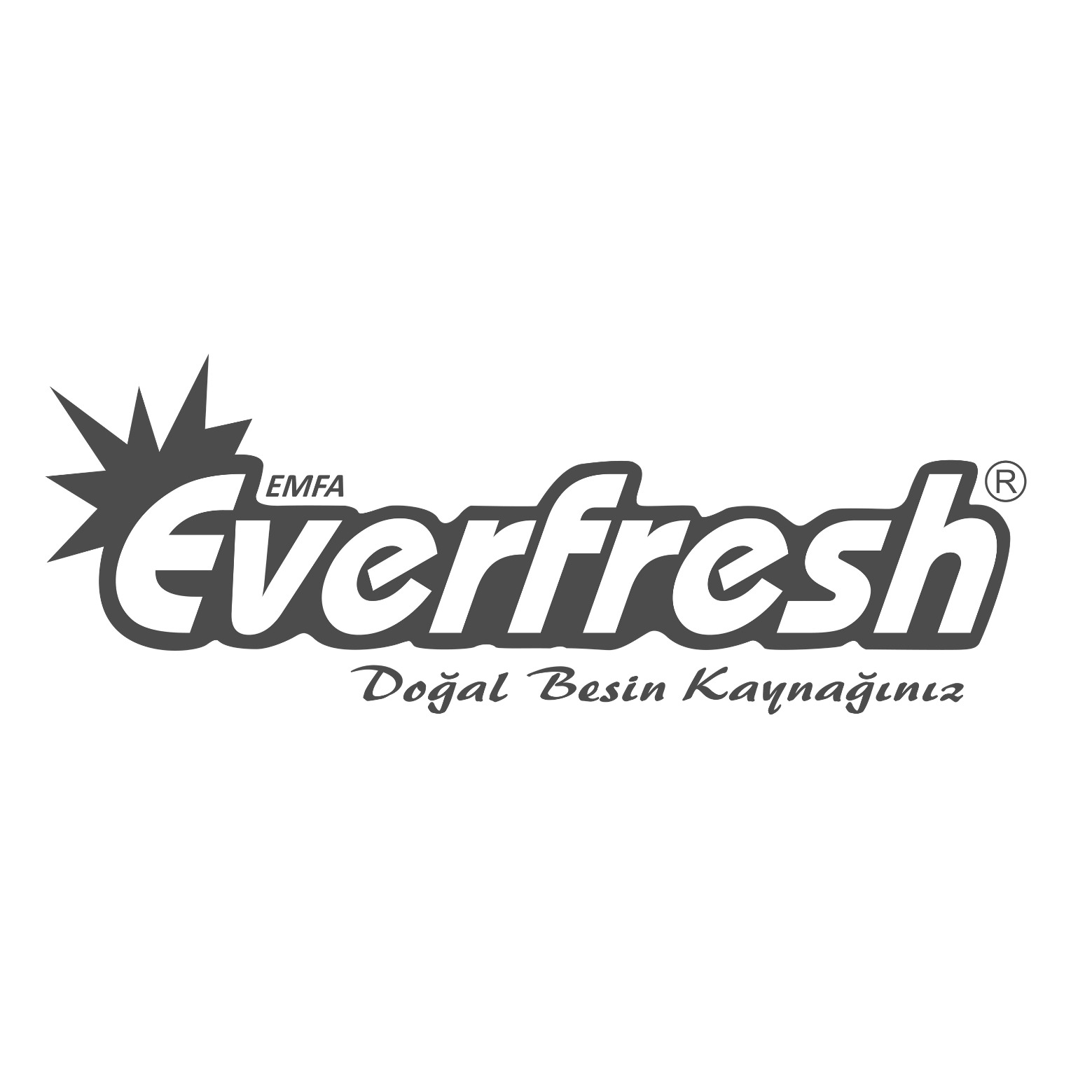 Everfresh Gıda logo