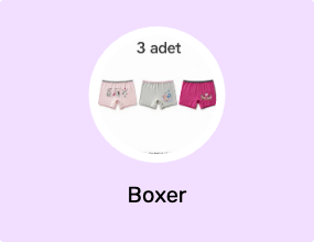 Boxer