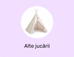 Alte jucării