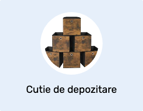 Cutie de depozitare