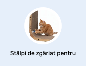 Stâlpi de zgâriat pentru pisici