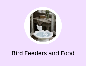 Bird Feeders and Food Boxes