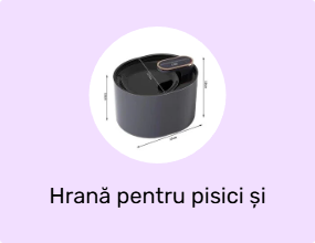 Hrană pentru pisici și recipiente pentru apă