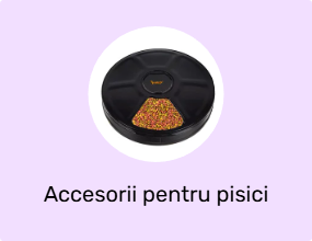 Accesorii pentru pisici
