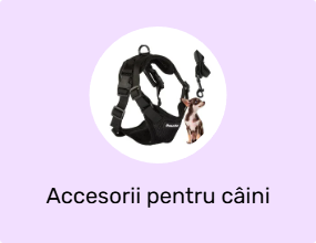 Accesorii pentru câini