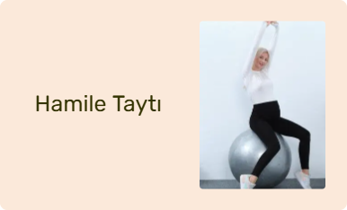 Hamile Taytı