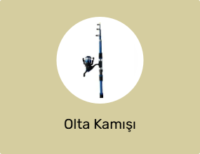 Olta Kamışı