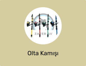 Olta Kamışı